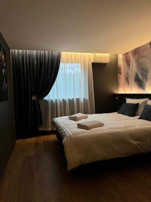 Appartement Arctic Feathers